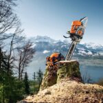 stihl-tronconneuse-ms-661-c-m-1200x801-1.jpg