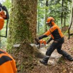 stihl-tronconneuse-ms-881-1-1200x799-1.jpeg